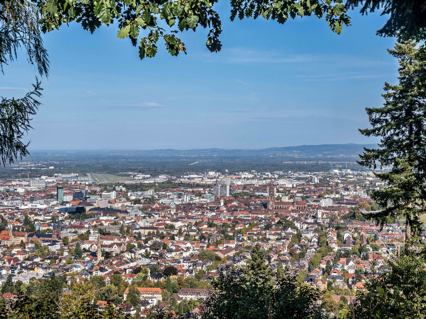 Freiburg liegt im Sonnenschein