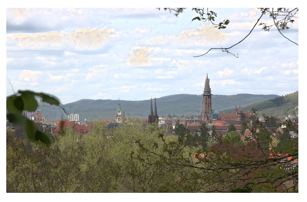 Freiburg: Martinstor / Johanneskirche / Münster