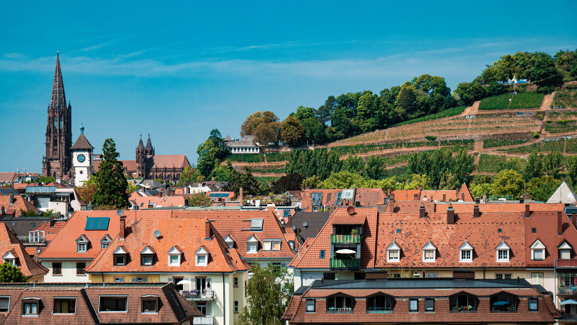 Freiburg mit Münster