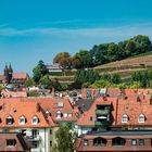 Freiburg mit Münster