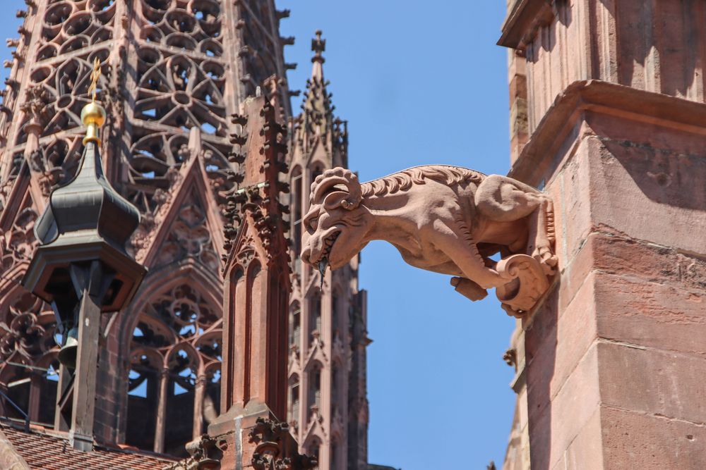 Freiburg Münster