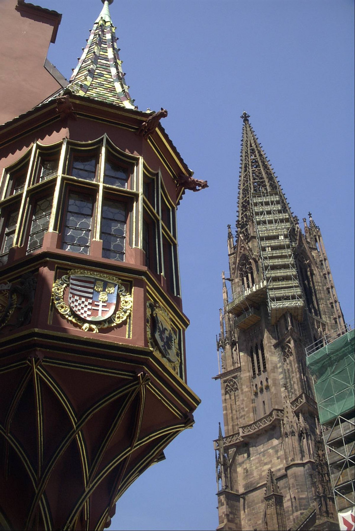 Freiburg Münster