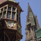 Freiburg Münster