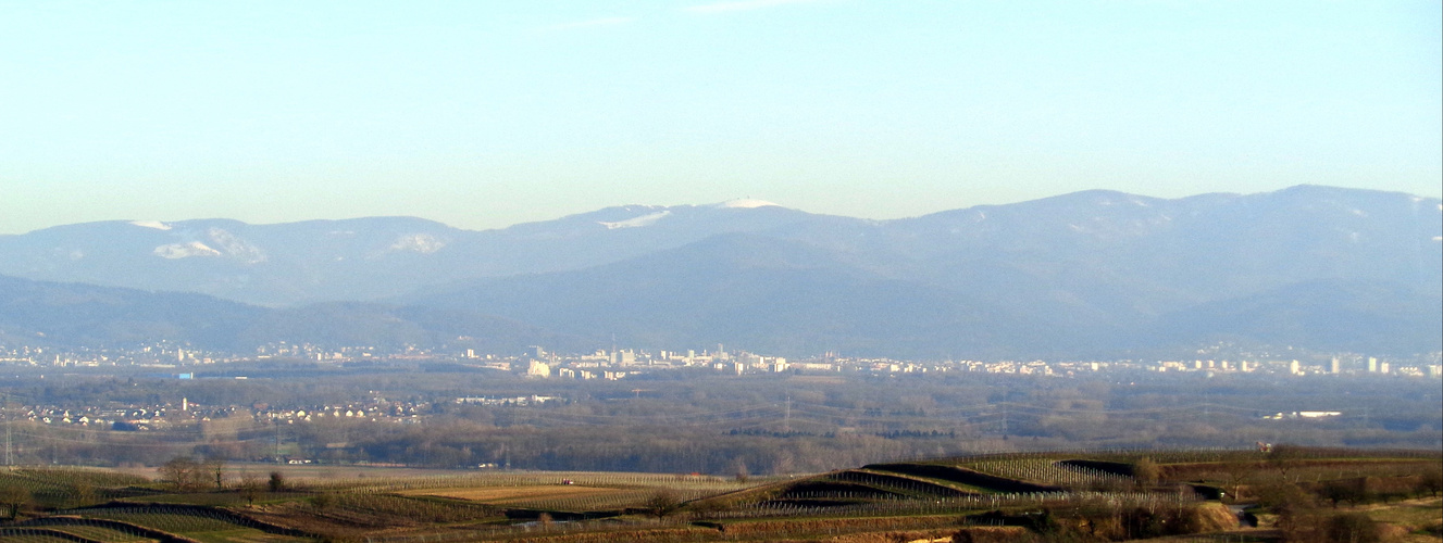 Freiburg-Panorama