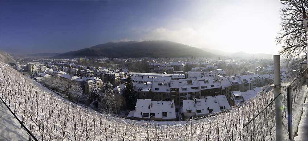 Freiburg, Schlossberg, Wiehre, Gegenlicht