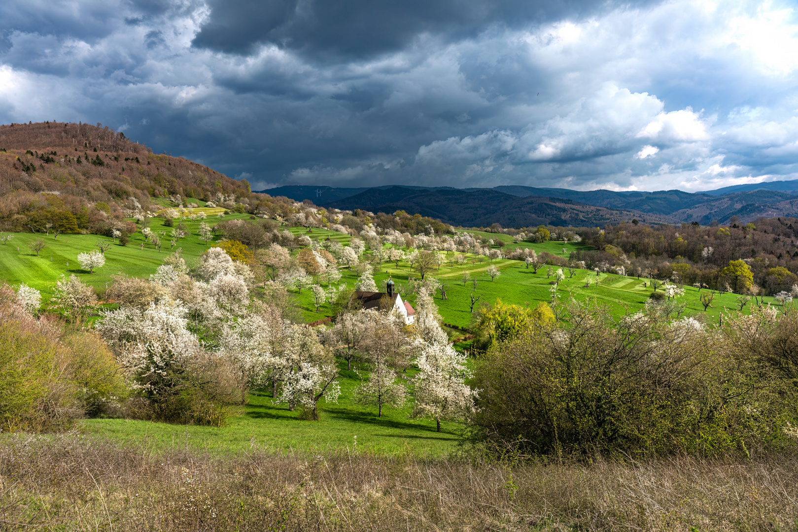 Freiburg-Schönberg/Berghauser Matten