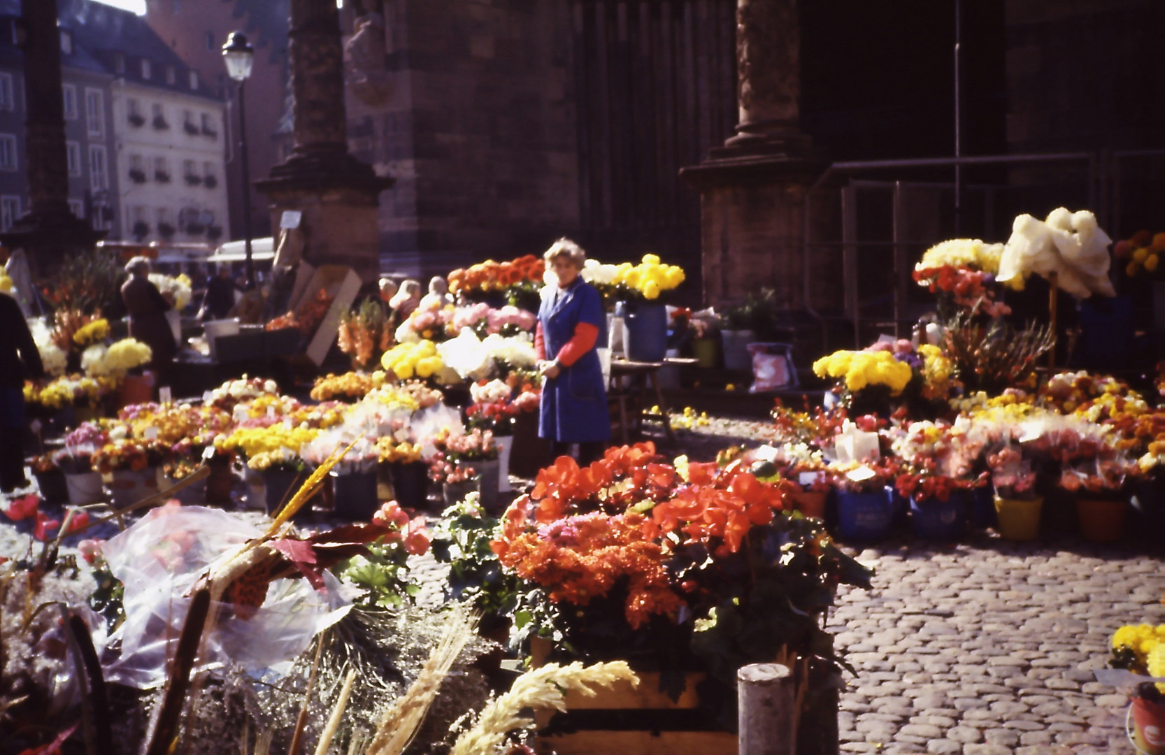 Freiburg um 1975