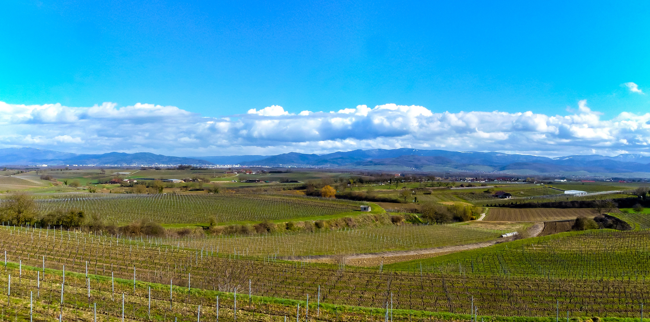 Freiburg und Schwarzwald