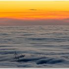 Freiburg unter Nebel