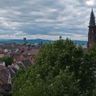 -Freiburgblick-