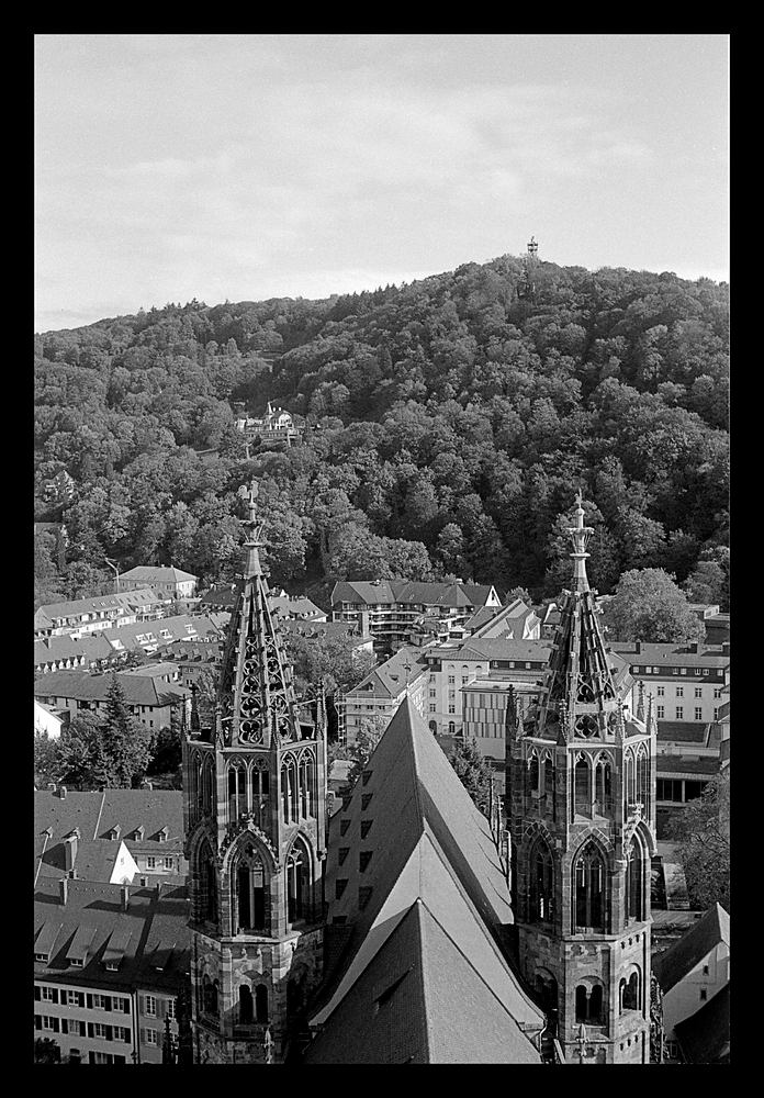 Freiburger Dom