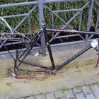 Freiburger Fahrradleiche (die erste)