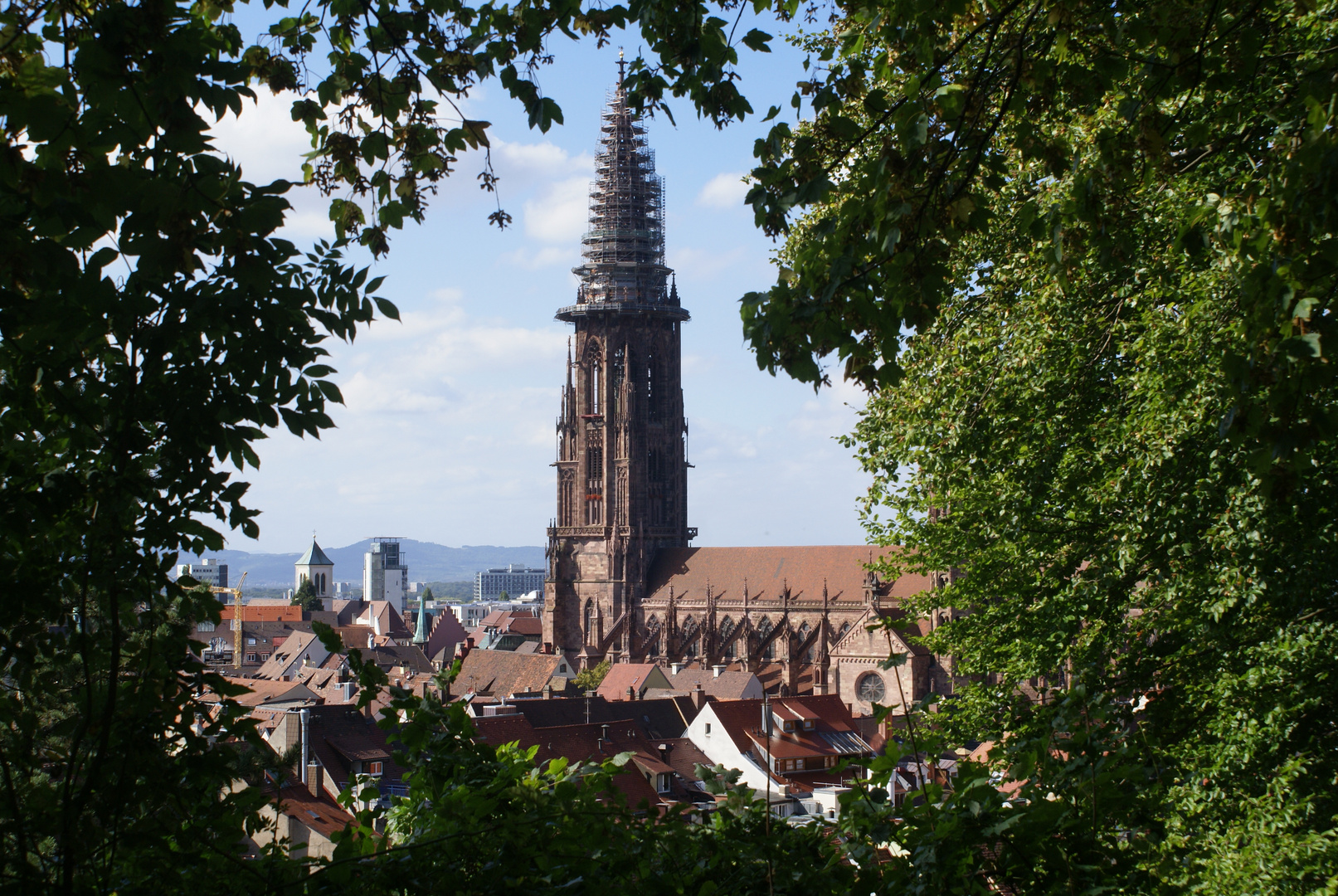 Freiburger Münster