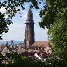 Freiburger Münster