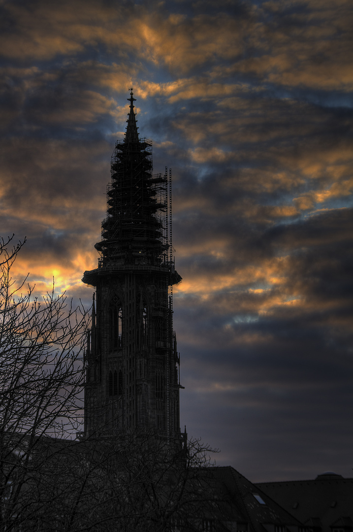 Freiburger Münster