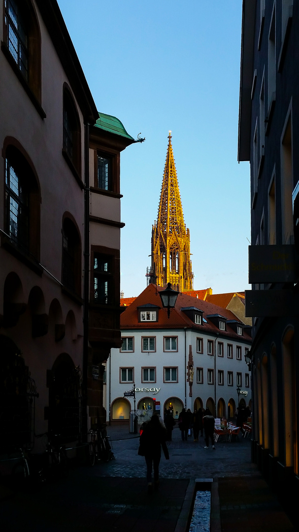 Freiburger Münster