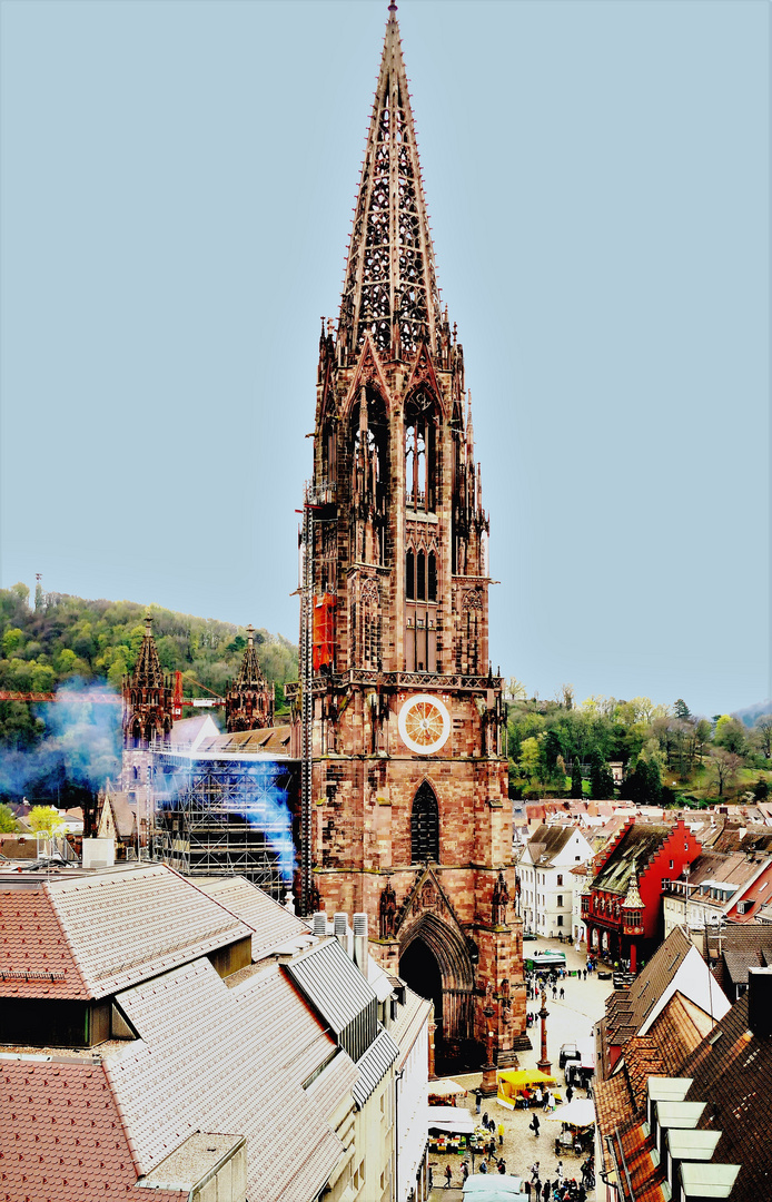 Freiburger Münster