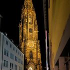 Freiburger Münster