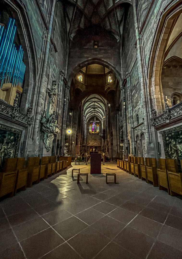 Freiburger Münster