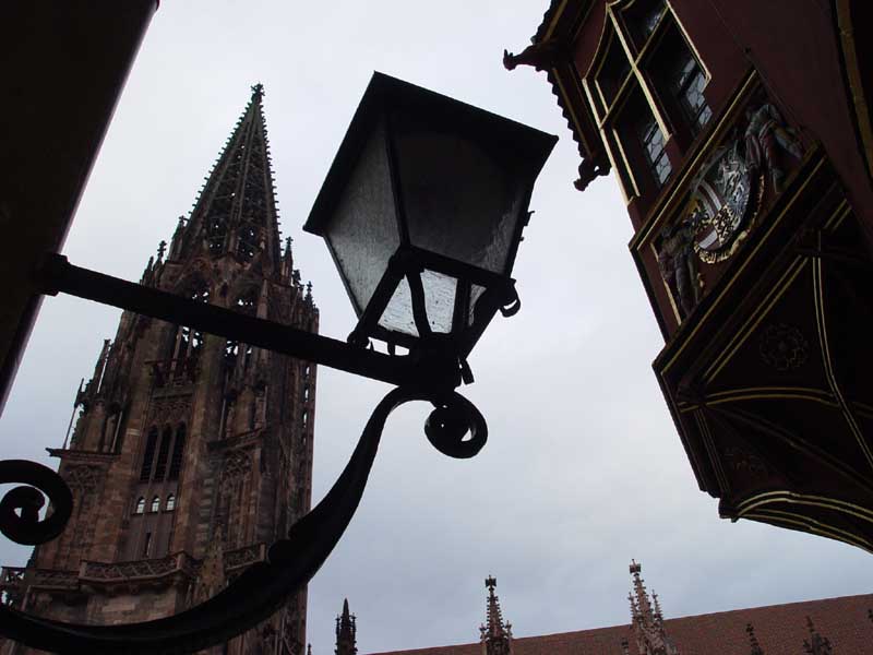 Freiburger Münster