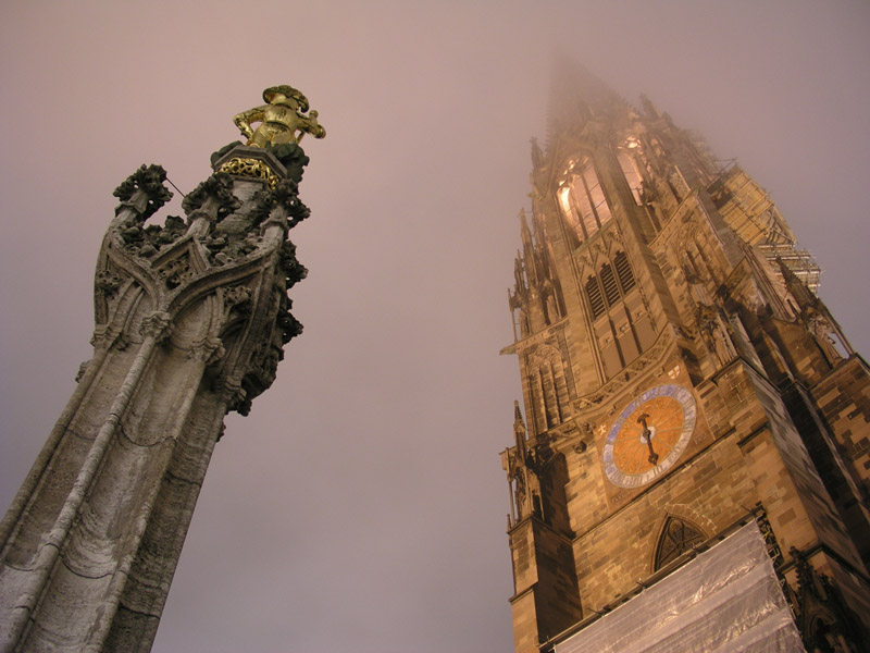 Freiburger Münster