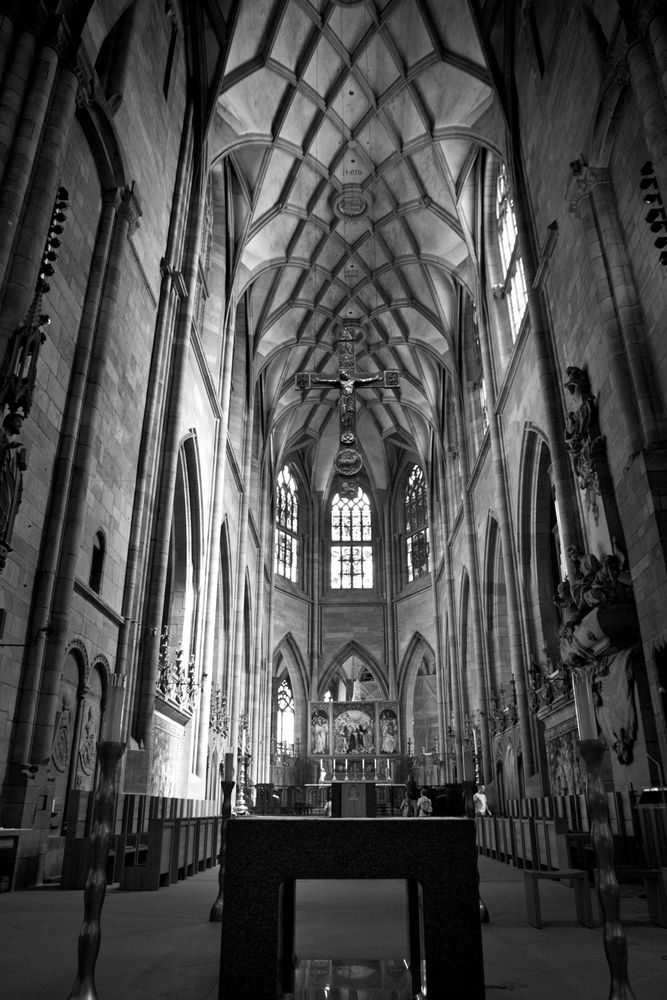 Freiburger Münster