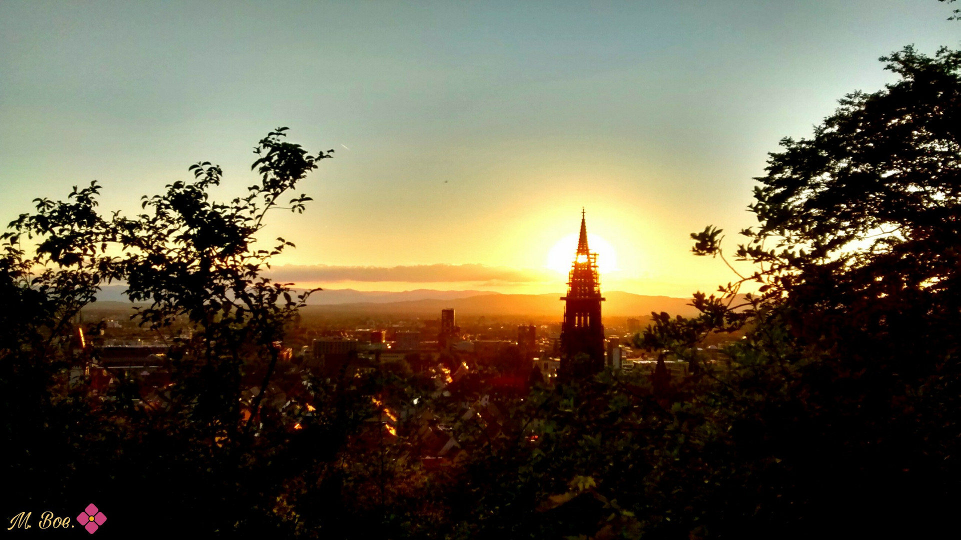 Freiburger Münster