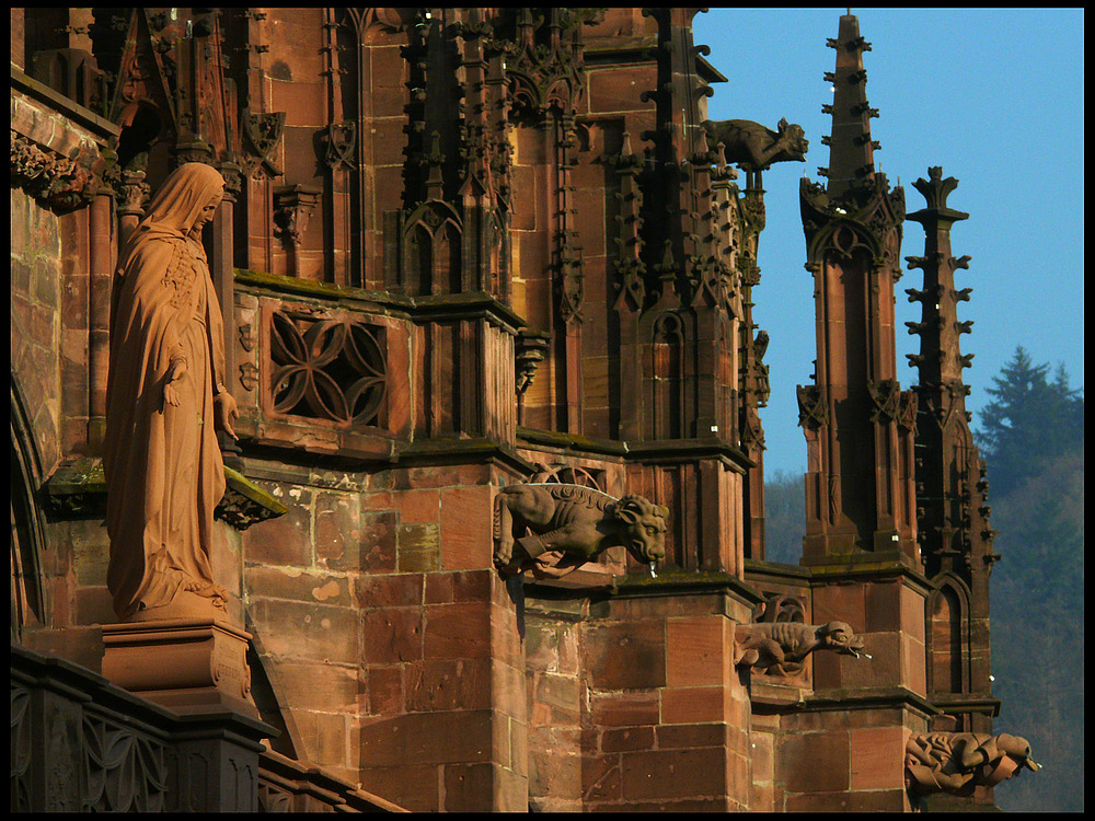 Freiburger Münster - Detail