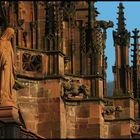 Freiburger Münster - Detail