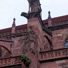 Freiburger Münster, Detail