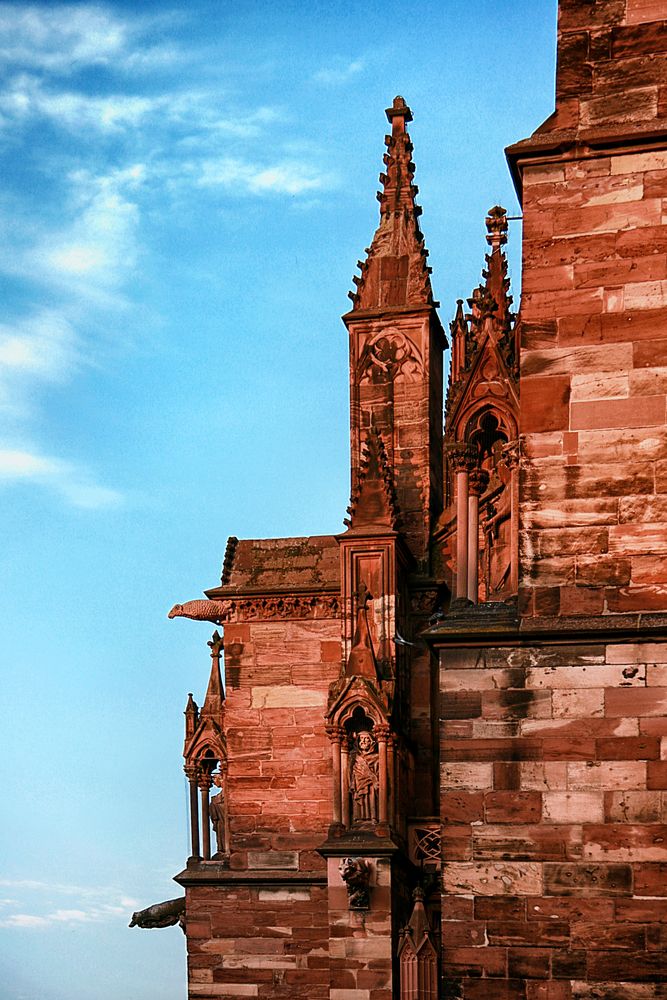 Freiburger Münster Detailansicht