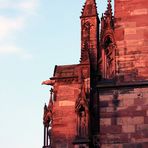 Freiburger Münster - Detailaufnahme - Fototour Freiburg #2