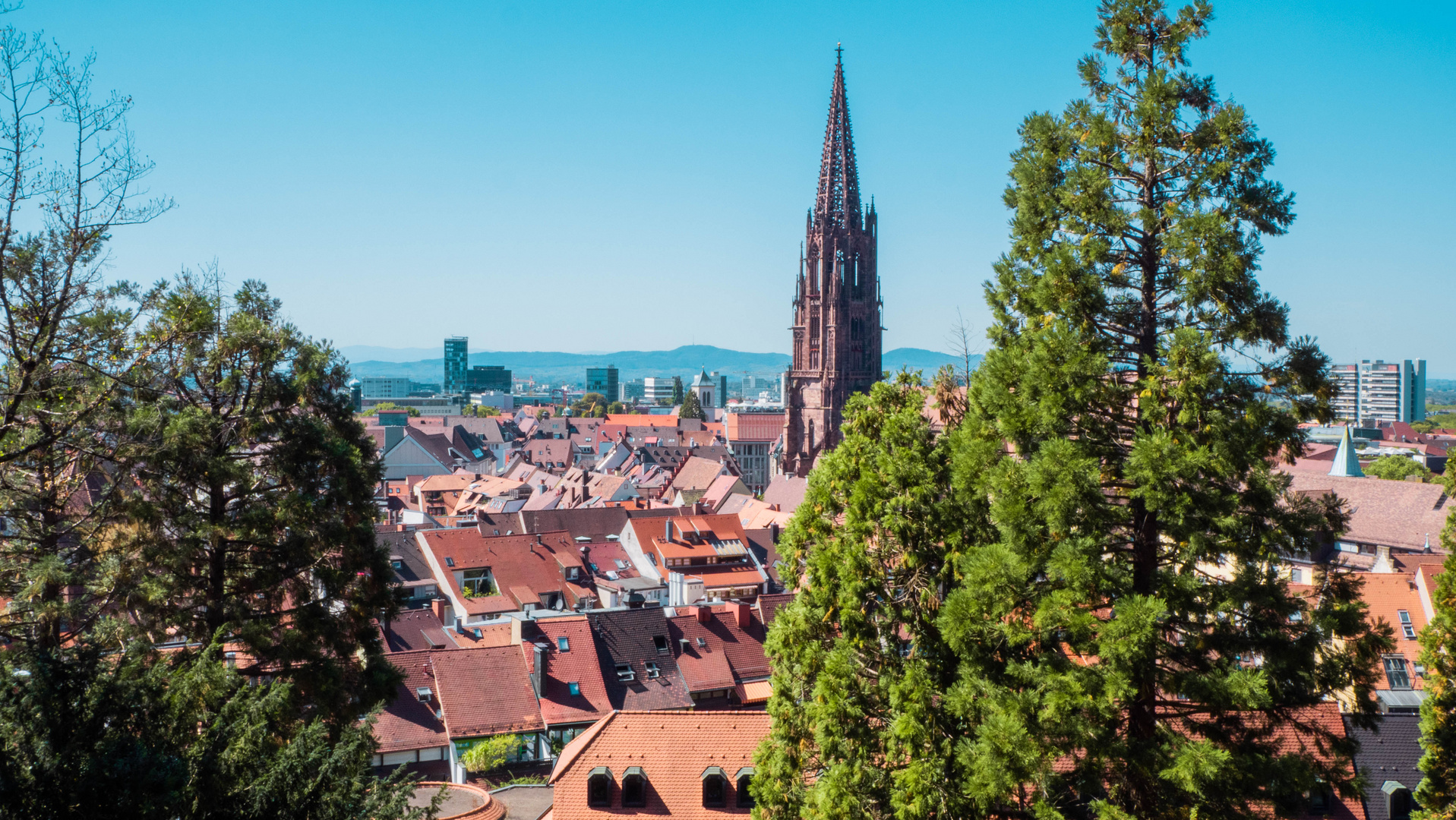 Freiburger Münster