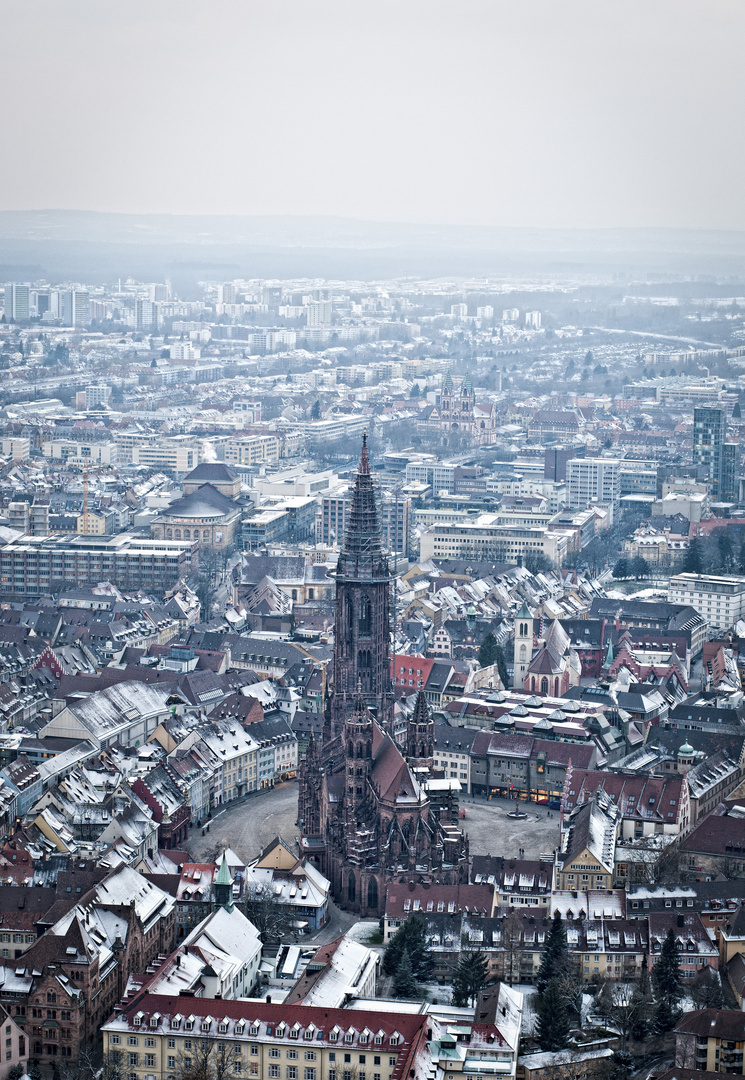 Freiburger Münster