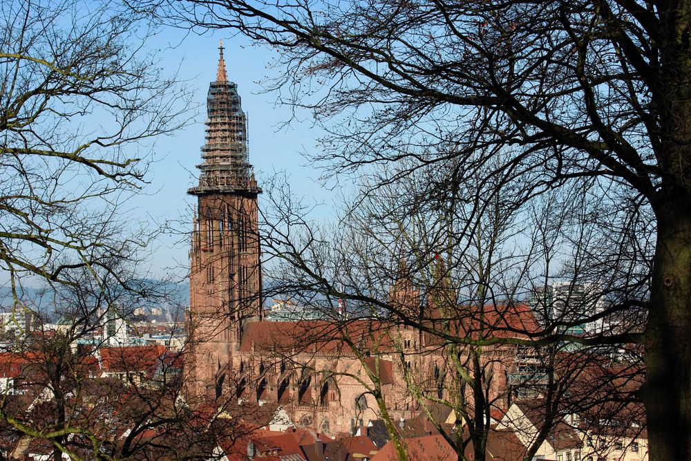 Freiburger Münster im Januar