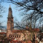 Freiburger Münster im Januar