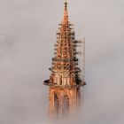 Freiburger Münster im Nebel