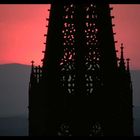 Freiburger Münster nach Sonnenuntergang