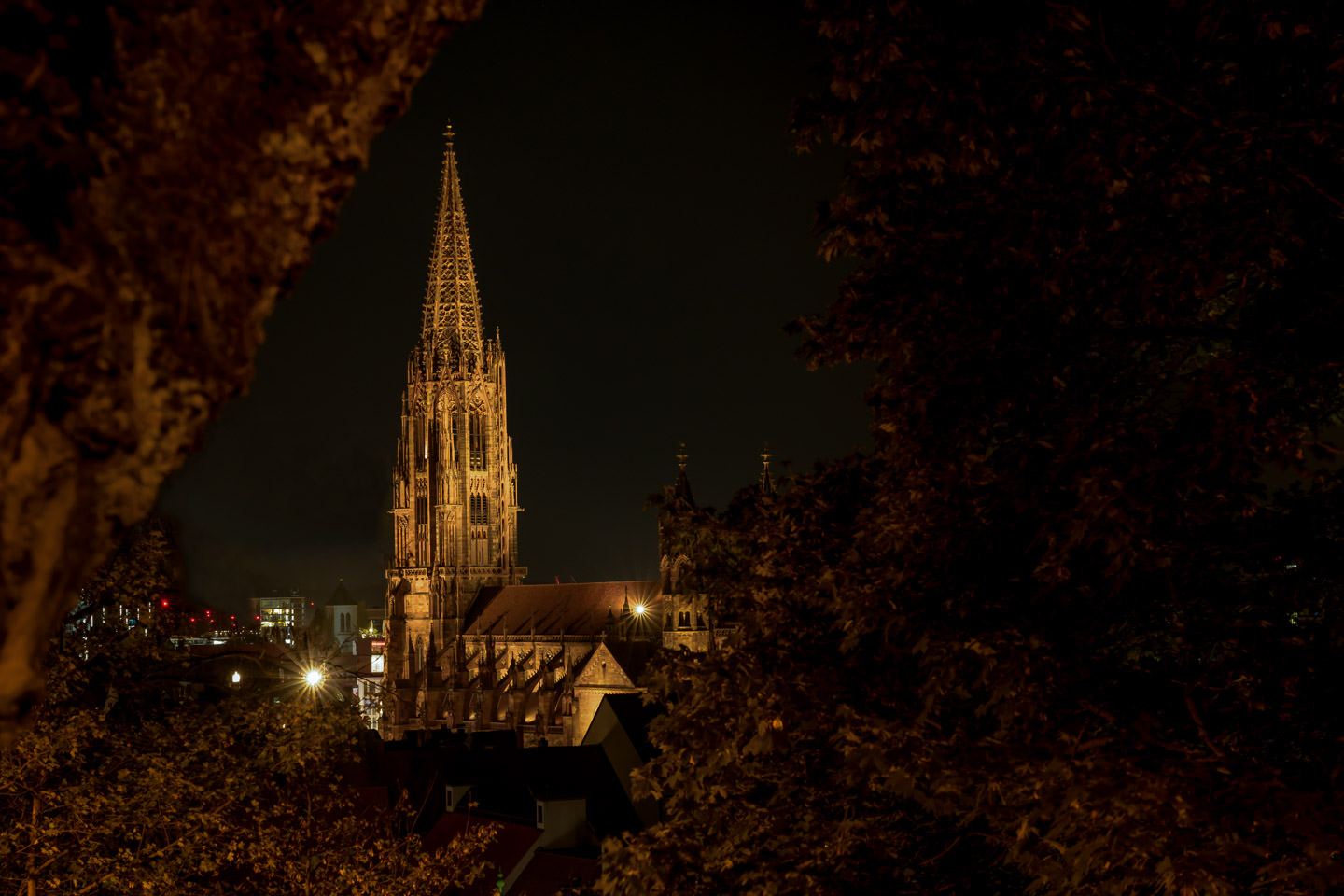 Freiburger Münster. Punkt.