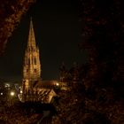 Freiburger Münster. Punkt.