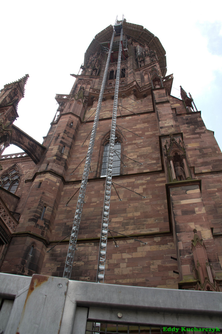 Freiburger Münster "Unserer Lieben Frau"