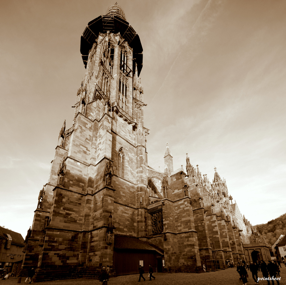 Freiburger Münster -Unserer lieben Frau-