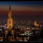 Freiburger Münster vom Schlossberg