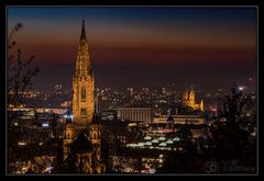 Freiburger Münster vom Schlossberg