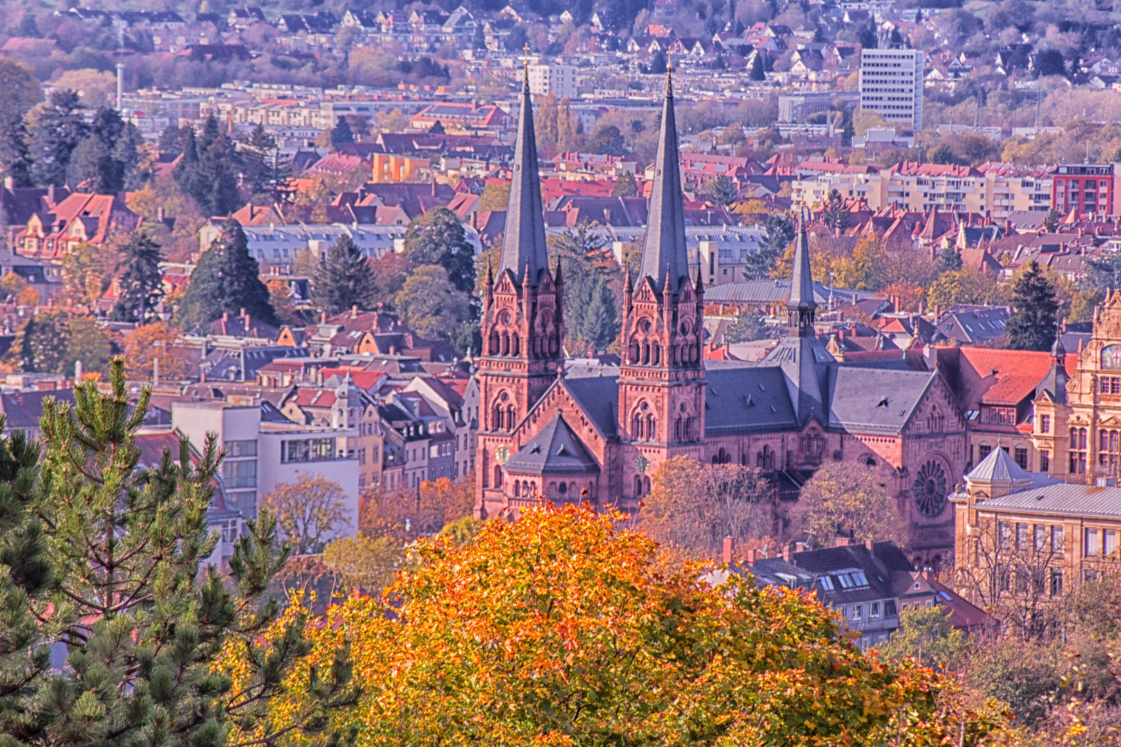 Freiburger Münster von oben