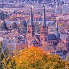 Freiburger Münster von oben