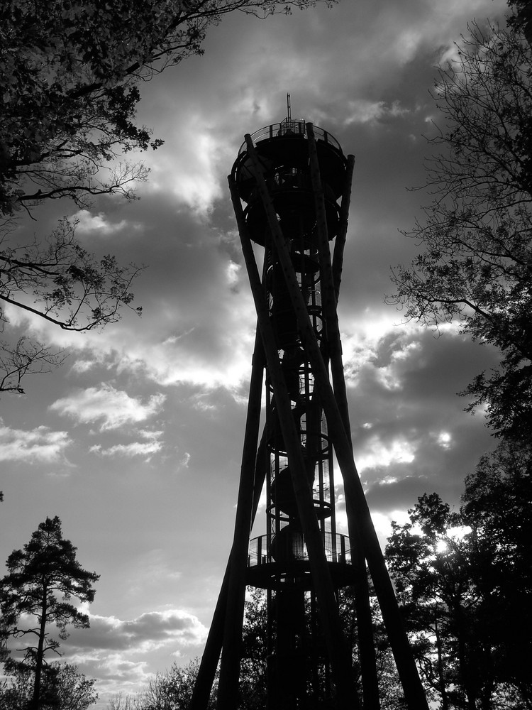 Freiburger Schloßbergturm 2