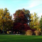 Freiburger-Stadtpark