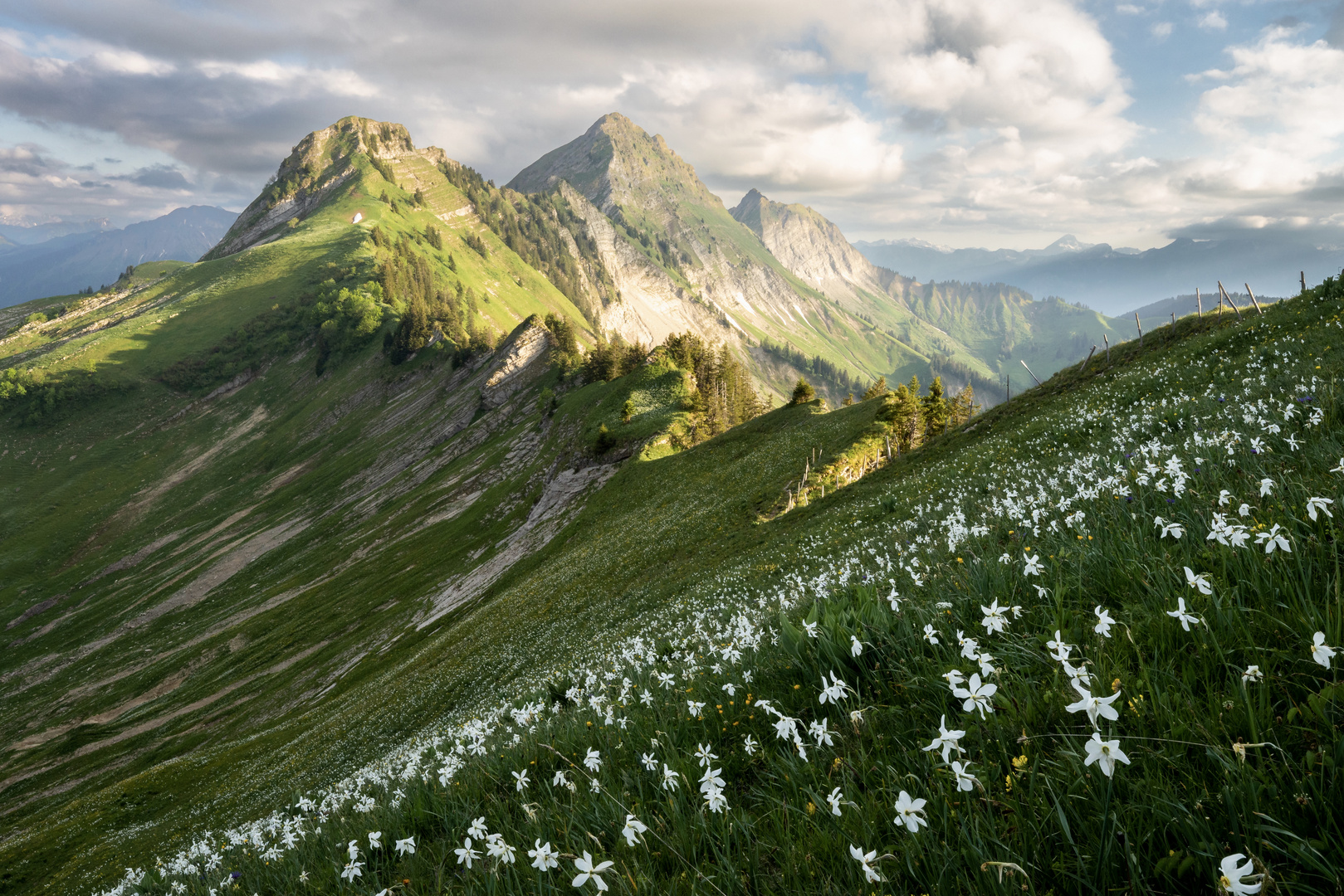 Freiburger Voralpen, Schweiz