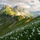 Freiburger Voralpen, Schweiz